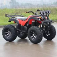 Yamaha Grizzly. ��������, ��� ���\���, ��� �������. ��� ����� �� ������������ ����