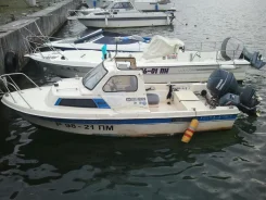 Yamaha Fish 17. ����� 5��., ��������� ���������, 50��.�., ������ ����