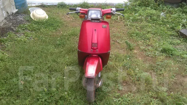 Honda Tact ����