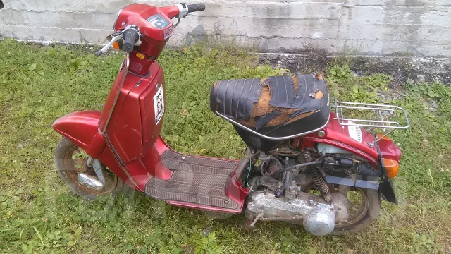 Honda Tact ����