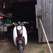 Honda Giorno Crea. 50����. ��., ��������, ��� ���, � �������� ����