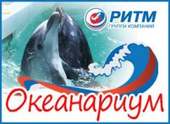 ���������� ����������. ���������. ����������� 7�. ����