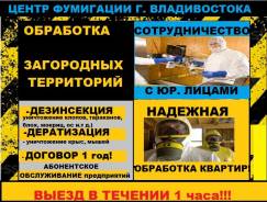 Уничтожение насекомых.