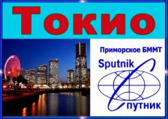 Япония. Токио. Экскурсионный тур. Любование сакурой Токио