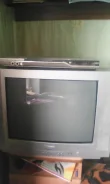 Evgo. CRT (���)