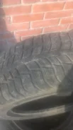 Federal Himalaya. �����������, 2010 ���, �/�, ����� 20�%