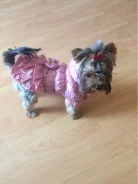 ������. ��� ����� �� ������������ ����