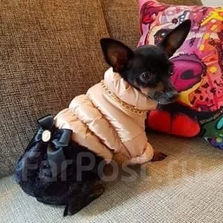 ������. ��� ����� �� ������������ ����