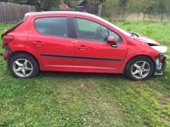 Peugeot 207 ����