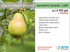 Разработка веб-сайтов, реклама в Интернет