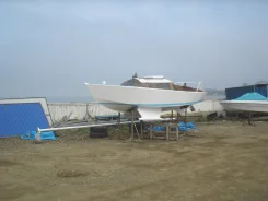 ������ �������� ����� �� ������������. 1985 ���. ��� ����� �� ������������ ����