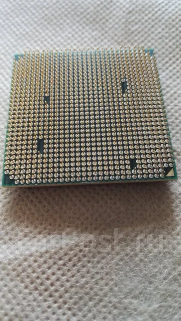 AMD Athlon II X2 250 ����
