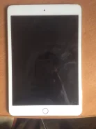 Apple iPad mini 3 Wi-Fi+Cellular 64Gb