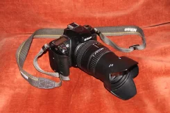 Nikon F75 ����