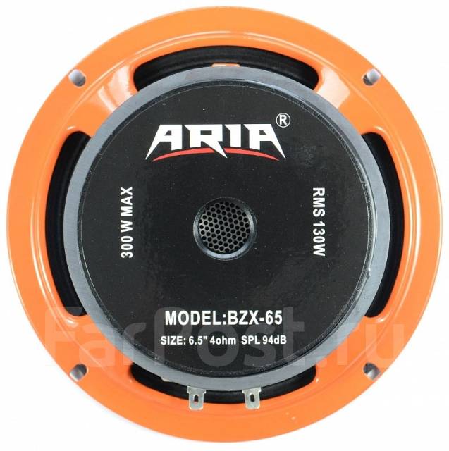 Громкие эстрадные динамики 16.5 см Aria BZX-65 - Динамики и сабвуферы ...