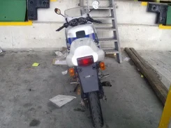 Honda NS 1. 49����. ��., ��������, ���, � �������� ����