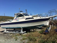 Yamaha F-26. 1991 ���, ����� 8,5��., ��������� ���������, 200��.�., ������ ����