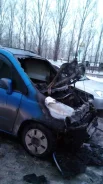 Honda Mobilio Spike ����