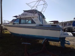 Yamaha SR-25. 1994 ���, ��������� ������������, ������ ����
