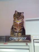 Шикарная Мусьен