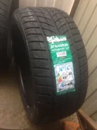 Auplus WINTERSPORT. ������, ��� �����, 2016 ���, ��� ������, 1 ��