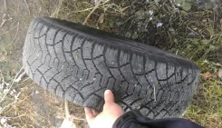 Cordiant Polar SL. ������, ����������, 2014 ���, 20�%, 3 ��