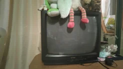 Funai. CRT (���)