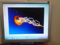 HP. 19", технология ЖК (LCD)