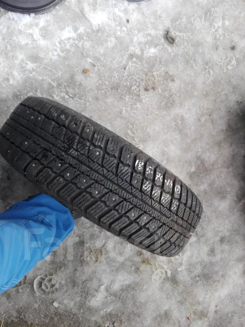 Barum Norpolaris. ������, ����������, �/�, ����� 5 % ����