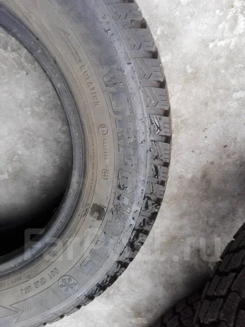 Barum Norpolaris. ������, ����������, �/�, ����� 5 % ����