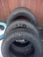 Syron EVEREST C. �����������, ����� ����
