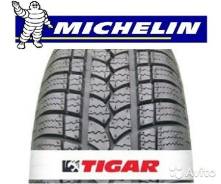Tigar Winter 1