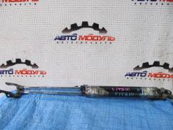 Амортизатор двери TOYOTA VITZ