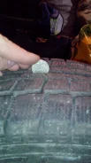 Hankook IceBear W604. ������, ��� �����, �/�, ����� 5�% ����