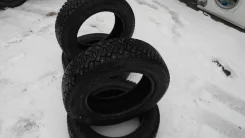 Cordiant Polar SL. ������, ����������, �/�, ����� 5�% ����