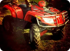 Arctic Cat 700. ��������, ���� ���\���, � �������� ����