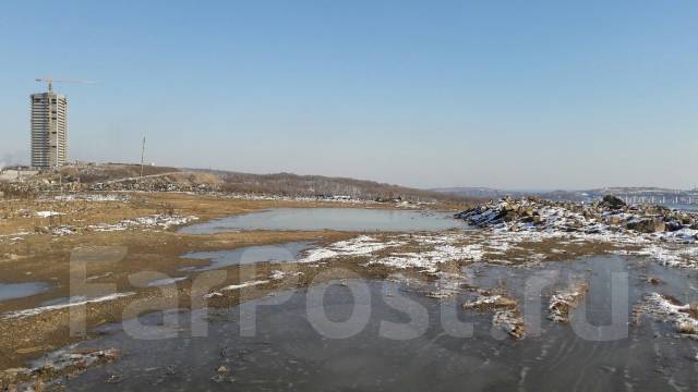 Фото змеинка владивосток в ч 11675