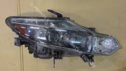 Фара. Nissan Murano, Z51R, Z51 Двигатель VQ35DE