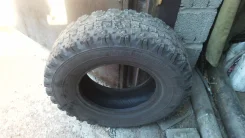 ��� �-569. �����������, 2010 ���, �/�, ����� 80 % ����