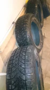 Bridgestone Winter Radial WT-17. ������, ����������, 2003 ���, �/�, ����� 60�%