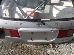 Дверь багажника. Toyota Ipsum, SXM15G, SXM15