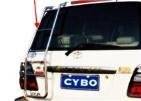 Лестница. Toyota Land Cruiser. Под заказ