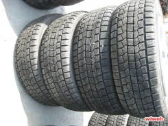 Northtrek. ������, 10�%, 4 ��