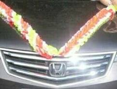 Молдинг решетки радиатора. Honda Accord