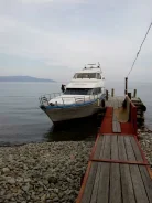 Neptunus. ����� 19,20��., ��������� ������������, 480,00��.�., ������ ����