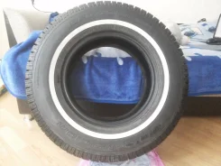 BFGoodrich Winter Slalom. ������, ����������, �/�, ����� 20 % ����