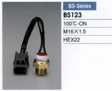 ������������� ������ ����������� �������� BS123 ����