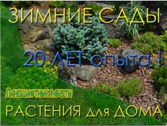 Альпинарии и рокарии.