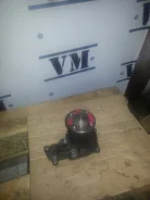 ����� ������� ����