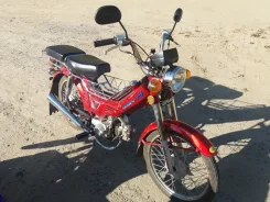 Lifan. 50����. ��., ��������, ���, � �������� ����